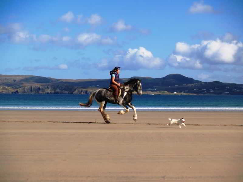 Arnolds Hotel & Riding Stables Dunfanaghy Exterior foto